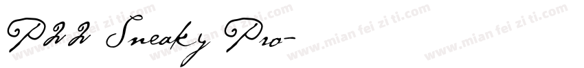P22 Sneaky Pro字体转换